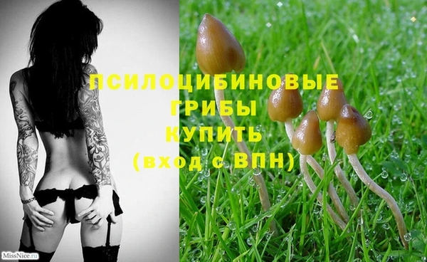 спайс Алзамай