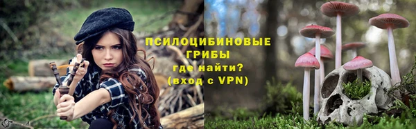 гидра Алексин