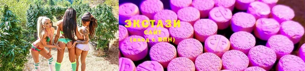 спайс Алзамай